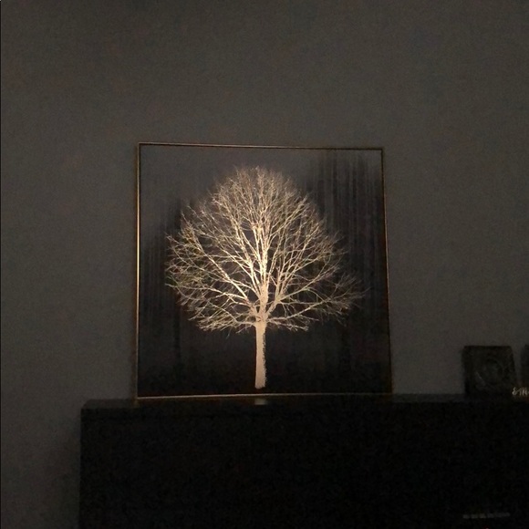 Meet your Posher, Seema - Picture 1 of 1